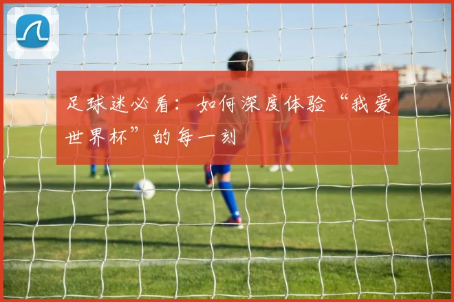 足球迷必看：如何深度体验“我爱世界杯”的每一刻