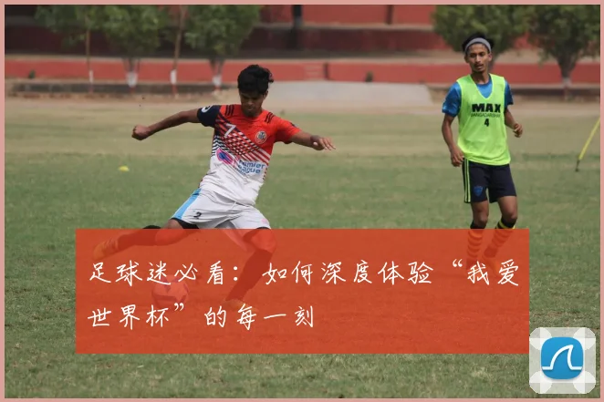足球迷必看：如何深度体验“我爱世界杯”的每一刻